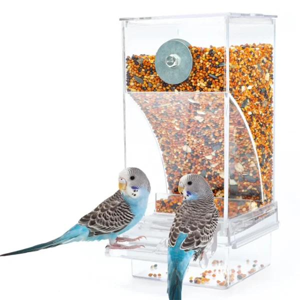 No Mess Bird Feeders Automatic.